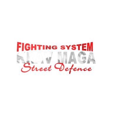 Fighting System Krav Maga — Street Defence